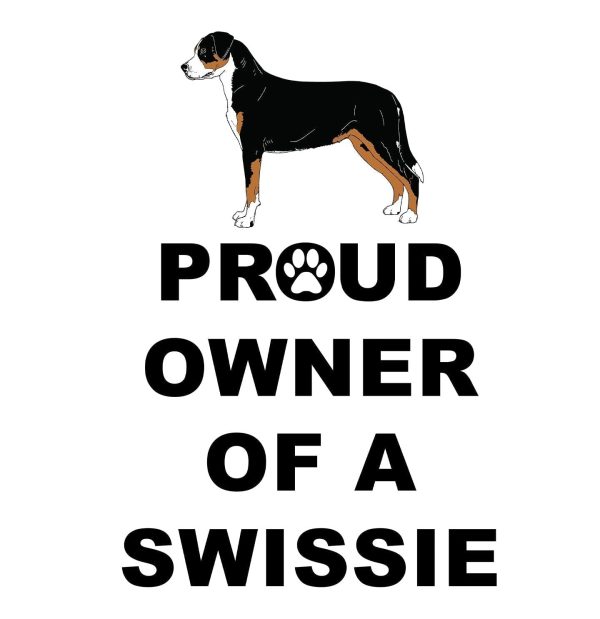 Greater Swiss Mountain Dog Proud Owner - Women s V-Neck T-Shirt For Discount - Image 2