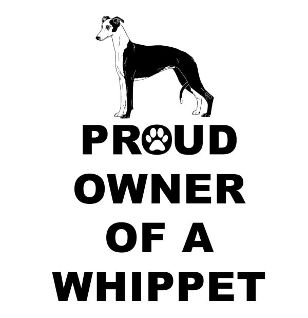 Whippet Proud Owner - Women s V-Neck T-Shirt For Cheap - Image 2