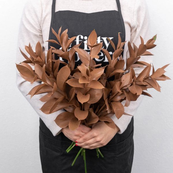 Mocha Mousse Ruscus Greenery Sale - Image 4