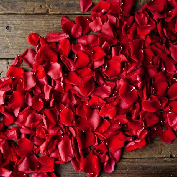 Red Rose Petals For Cheap - Image 3